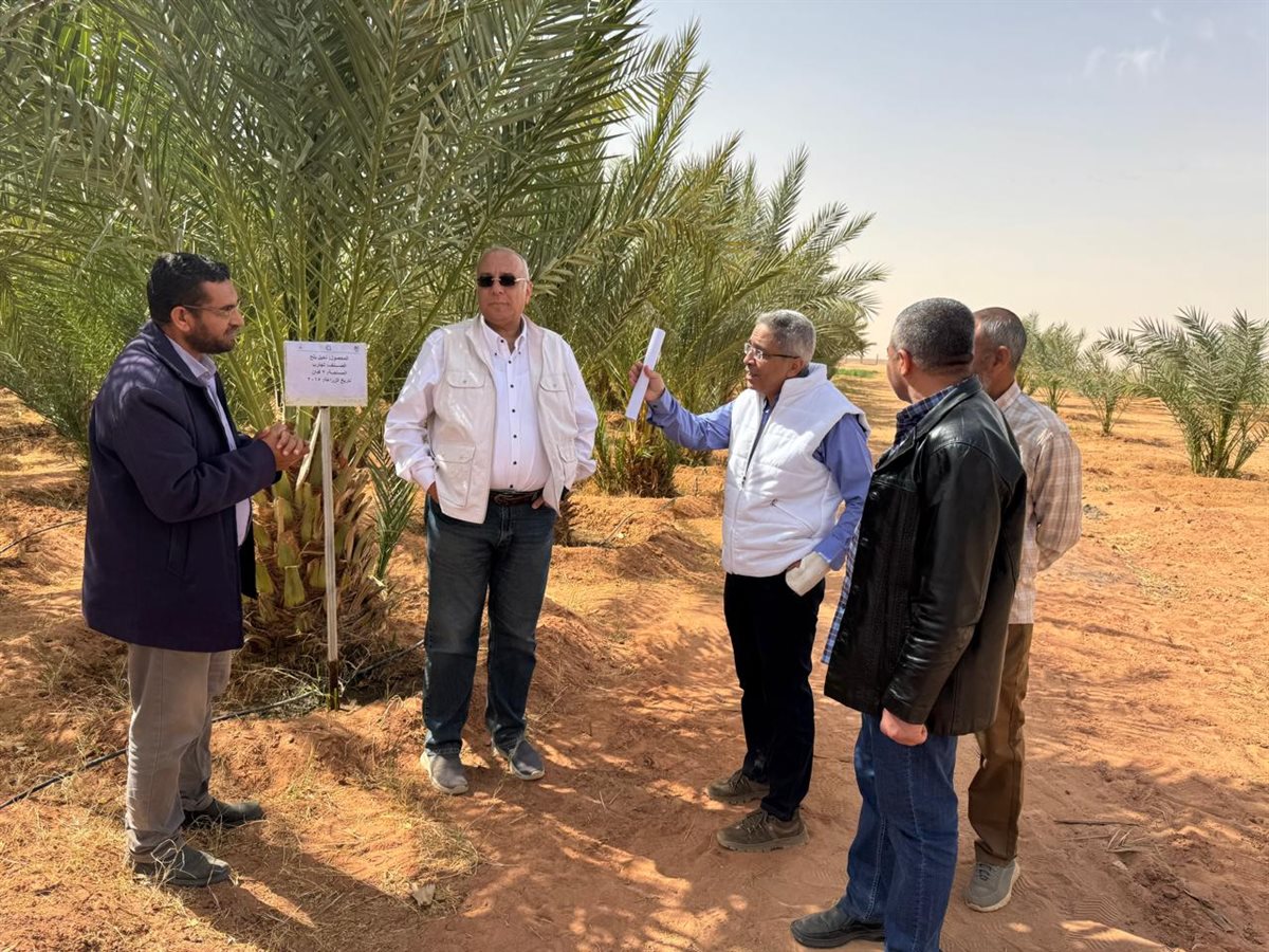 جانب من المتابعة لأعمال المحطات البحثية