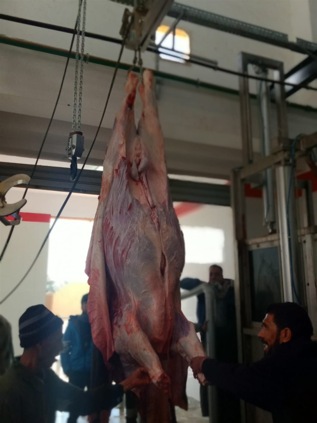 مجزر مدينة الخارجة