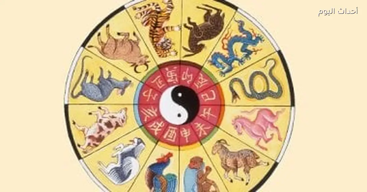 أبراج صينية ممكن تجيب لك حظ ونجاح مالي في 2026 و برج الكلب في المقدمة