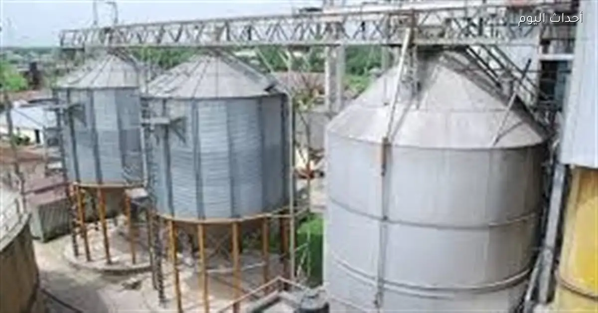 أرباح مطاحن ومخابز جنوب القاهرة والجيزة تصل إلى 38 مليون جنيه