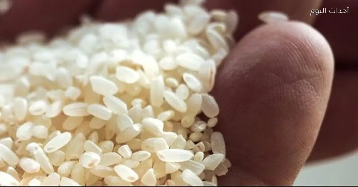 أسعار الأرز الشعير اليوم الاثنين 12 يناير 2026 في الأسواق المحلية