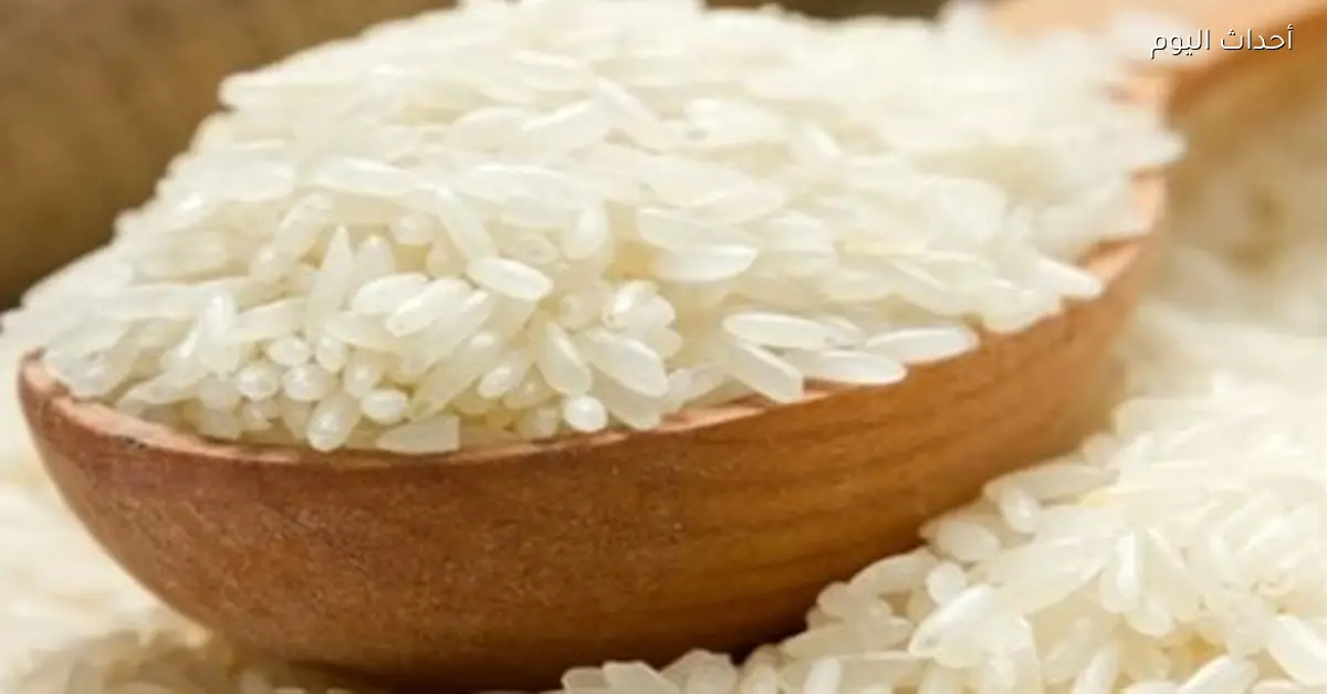 أسعار الأرز الشعير اليوم السبت 17 يناير 2026