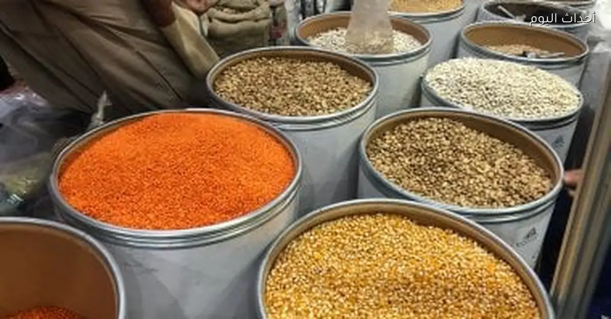 أسعار البقوليات في كفر الشيخ اليوم السبت 17 يناير 2026