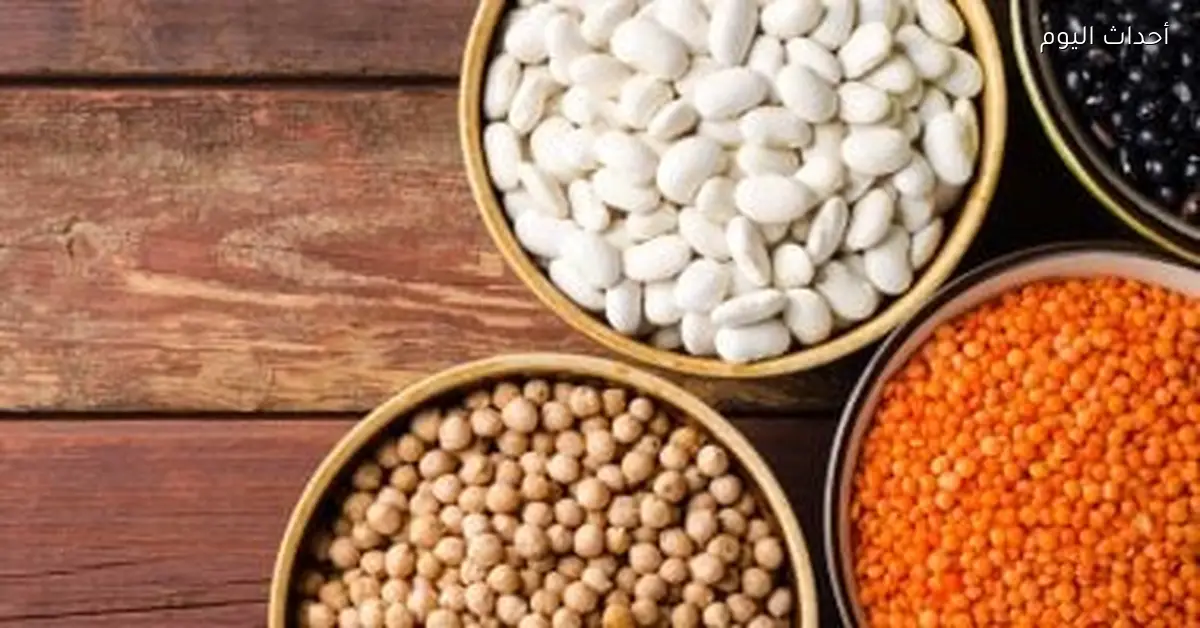 أسعار البقوليات في كفر الشيخ تتجاوز 50 جنيهًا للكيلو