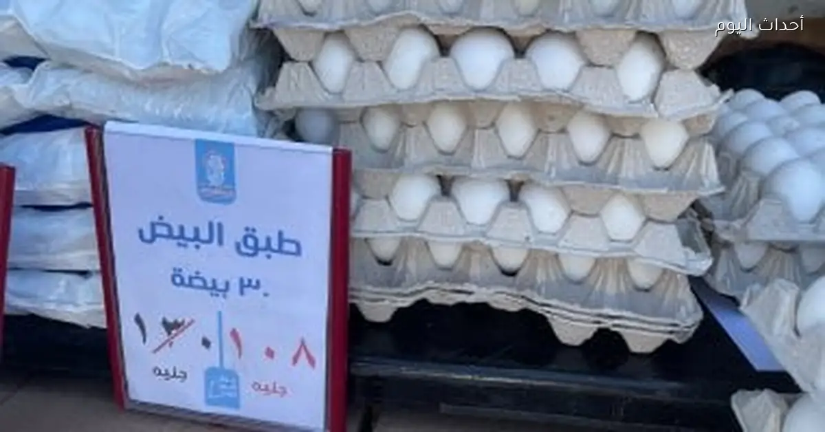 أسعار البيض في كفر الشيخ تسجل 125 جنيهًا لكرتونة اليوم السبت
