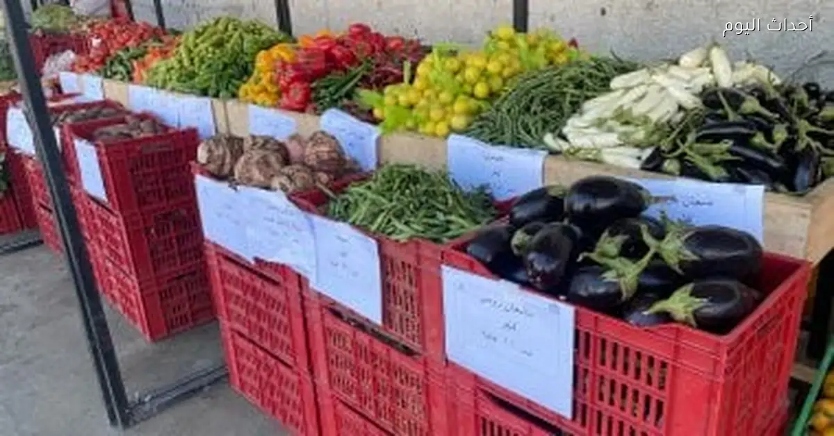 أسعار الخضار والفاكهة في المنوفية اليوم الخميس 8 يناير 2026