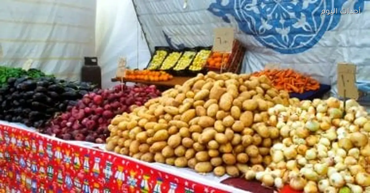 أسعار الخضراوات في أسواق مطروح اليوم 12 يناير 2026 البصل 20 جنيها