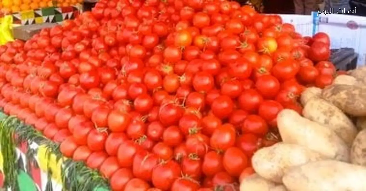 أسعار الخضراوات والفاكهة في كفر الشيخ الثلاثاء 13 يناير تشمل الطماطم بـ 9 جنيهات