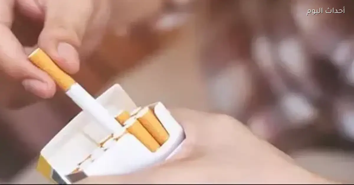 أسعار السجائر المحلية في مصر اليوم السبت 3 يناير 2026