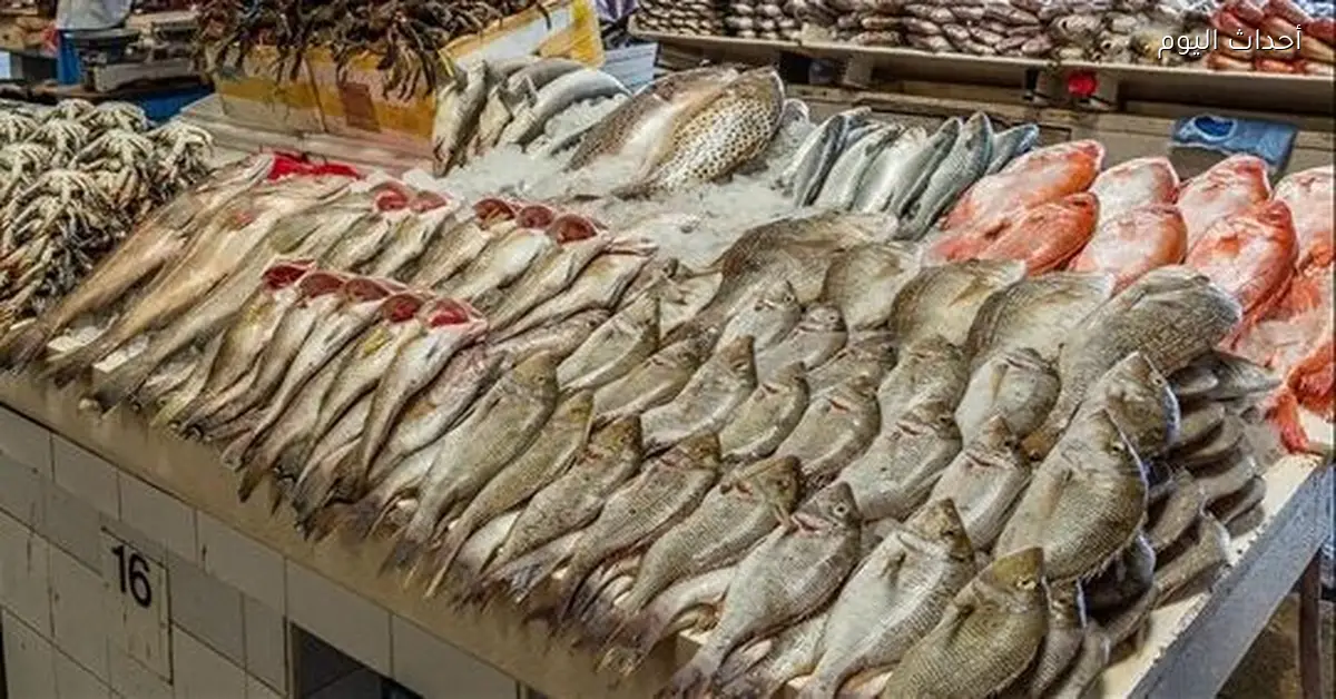 أسعار السمك اليوم الثلاثاء 13 يناير 2026 في سوق العبور والأسواق الأخرى