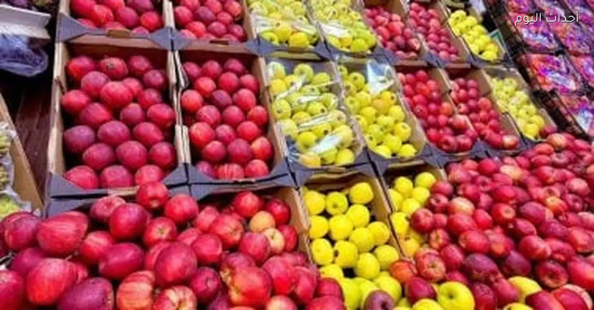 أسعار الفاكهة الطازجة في أسواق الأقصر اليوم 14 يناير 2026