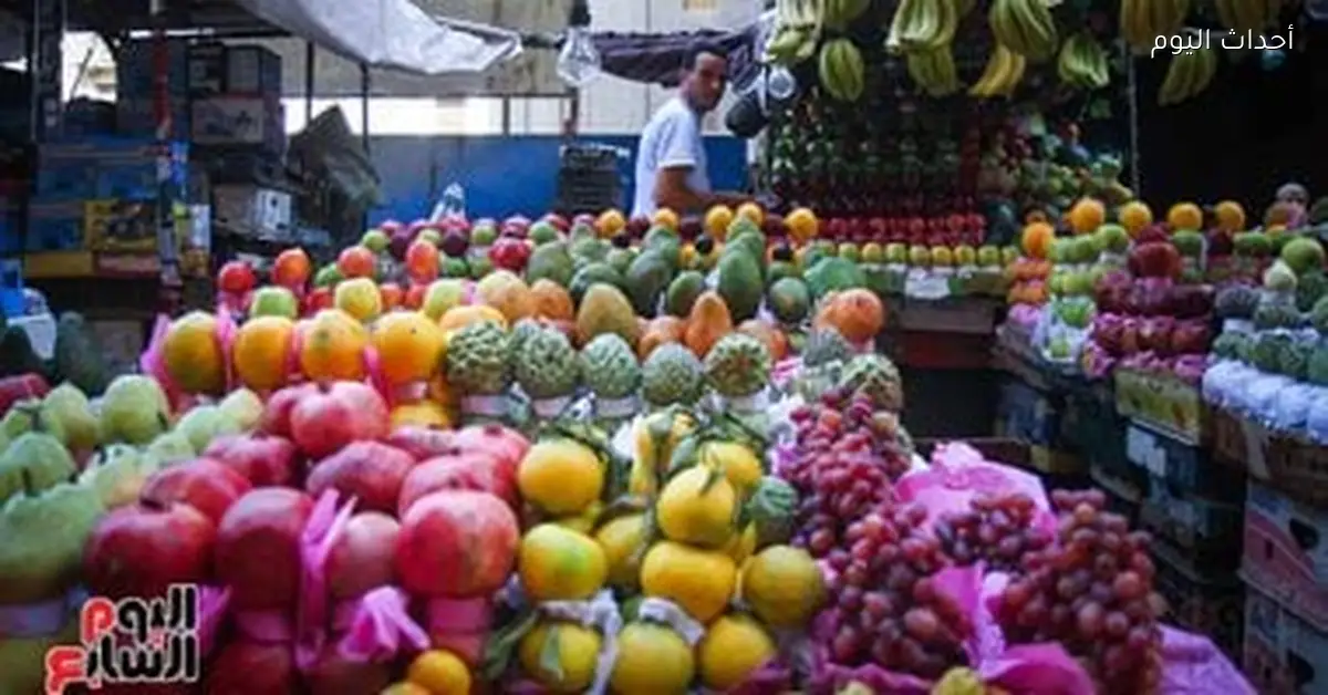 أسعار الفاكهة في أسواق مطروح الأحد 11 يناير 2026 الفراولة بـ 30 جنيها