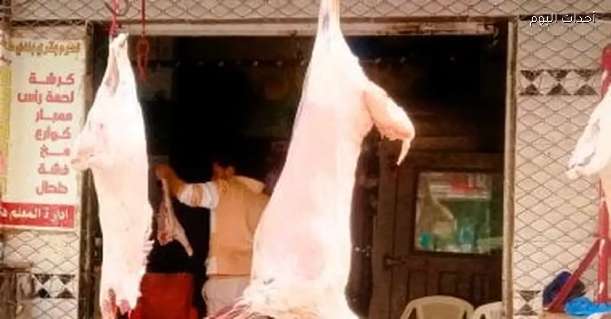 أسعار اللحوم في كفر الشيخ ترتفع من 220 إلى 390 جنيها