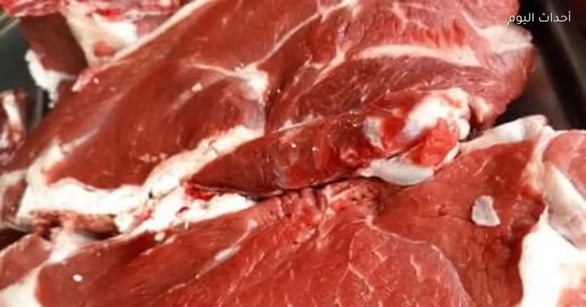أسعار اللحوم في مطروح اليوم الأربعاء 14 يناير 2026 الضأن بـ420 جنيها