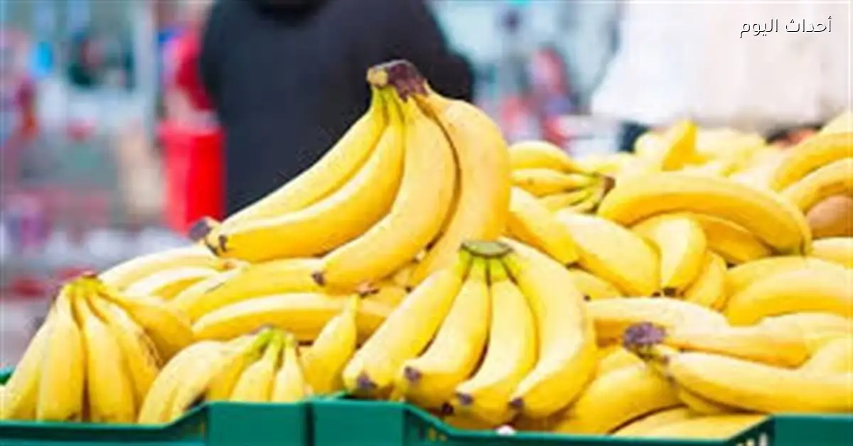 أسعار الموز في سوق العبور اليوم الأربعاء 7 يناير 2026