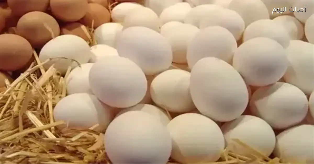 أسعار كرتونة البيض اليوم السبت 17 يناير 2026