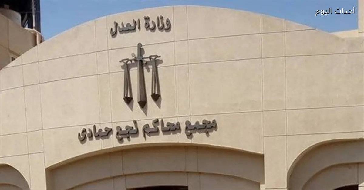 إحالة أوراق عامل للمفتي في قضية قتل شقيقه ونجله