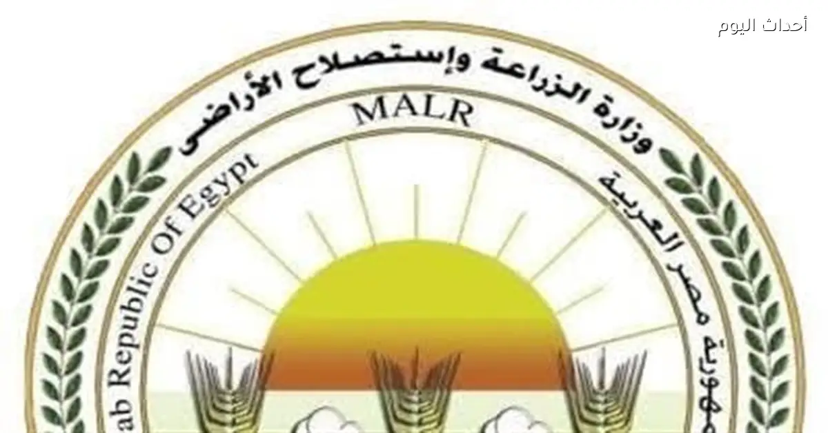 اتحاد المصدرين يوفر شتلات نخيل لتحقيق الاستدامة الزراعية