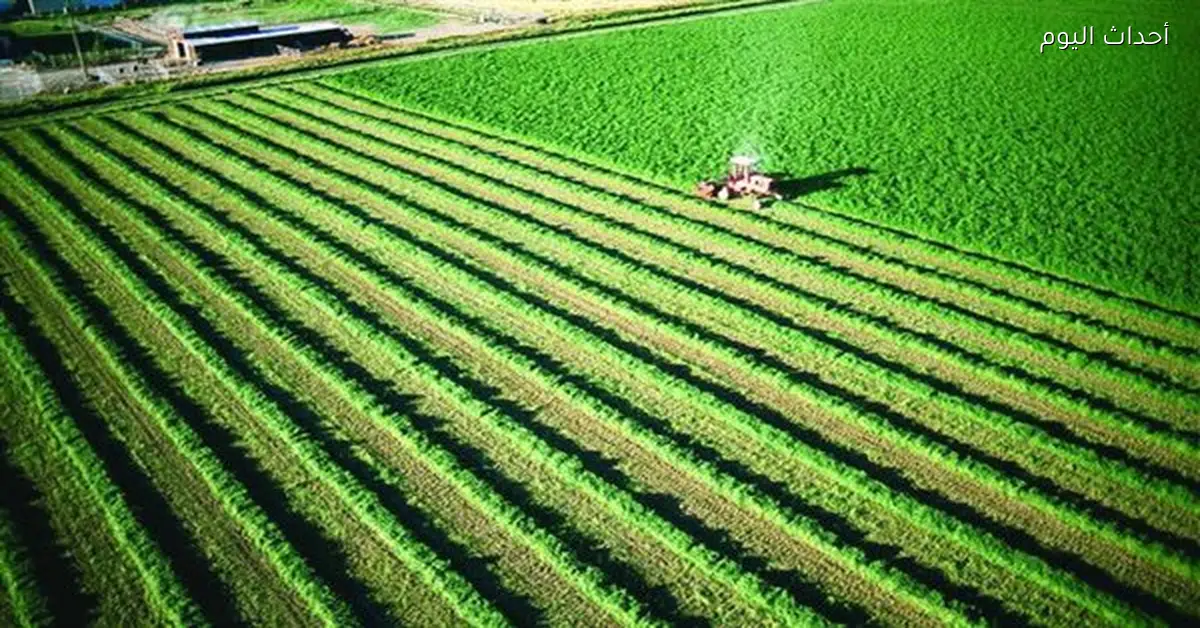 ارتفاع أسعار مستلزمات الإنتاج الزراعي يهدد الأمن الغذائي