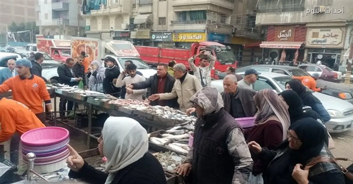 استمرار تشغيل المعرض الدائم للسلع الغذائية في المنصورة