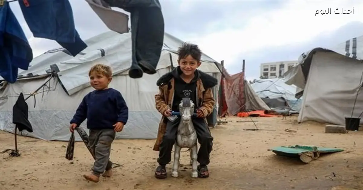 الأمم المتحدة: 50% من سكان غزة يحتاجون إلى مأوى