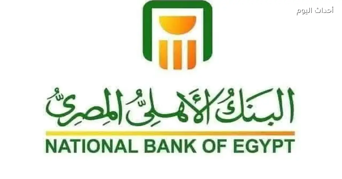 البنك الأهلي ينظم عرض طائرات مسيرة في سماء القاهرة احتفالًا بالعام الجديد