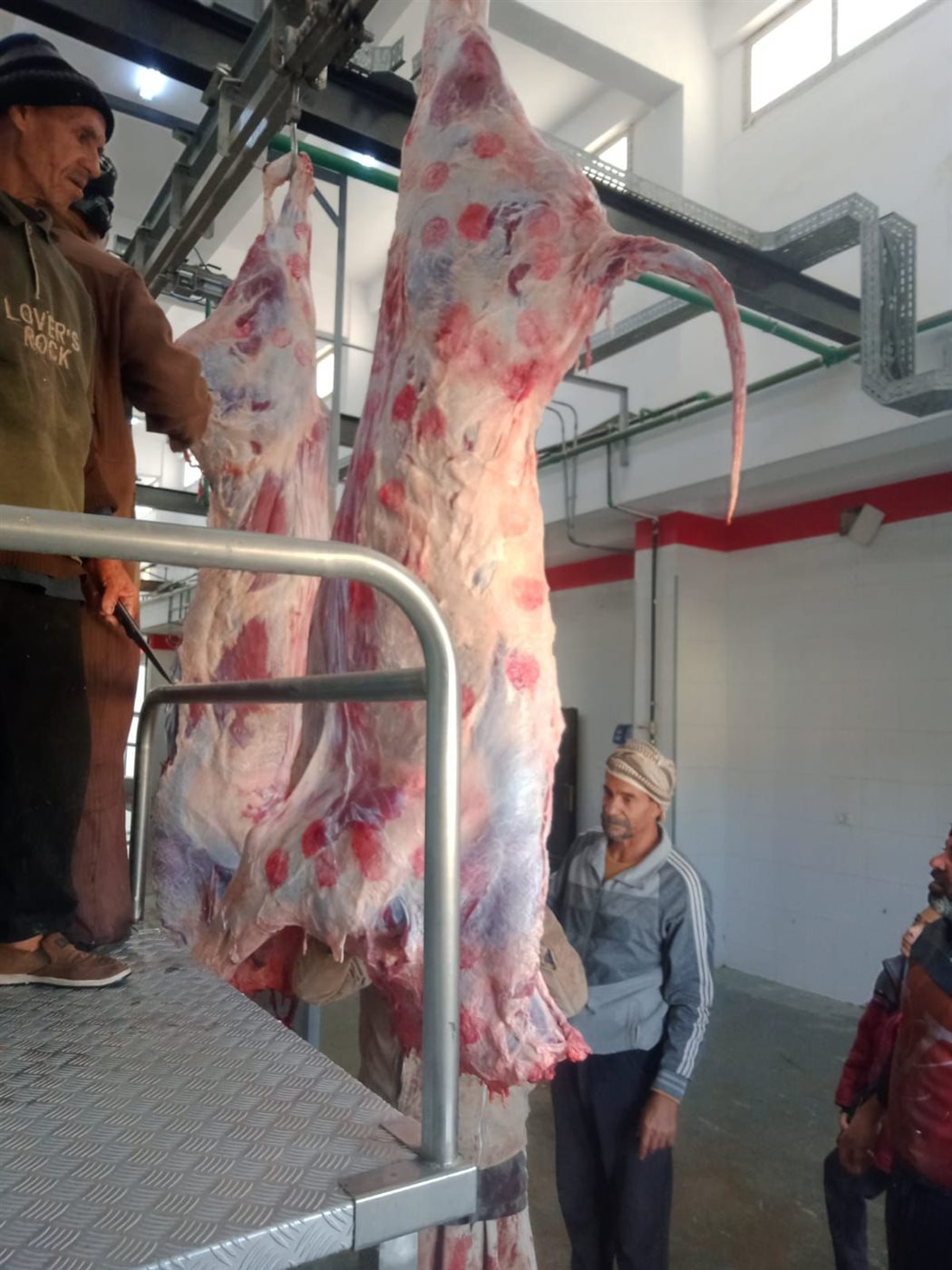 مجزر مدينة الخارجة