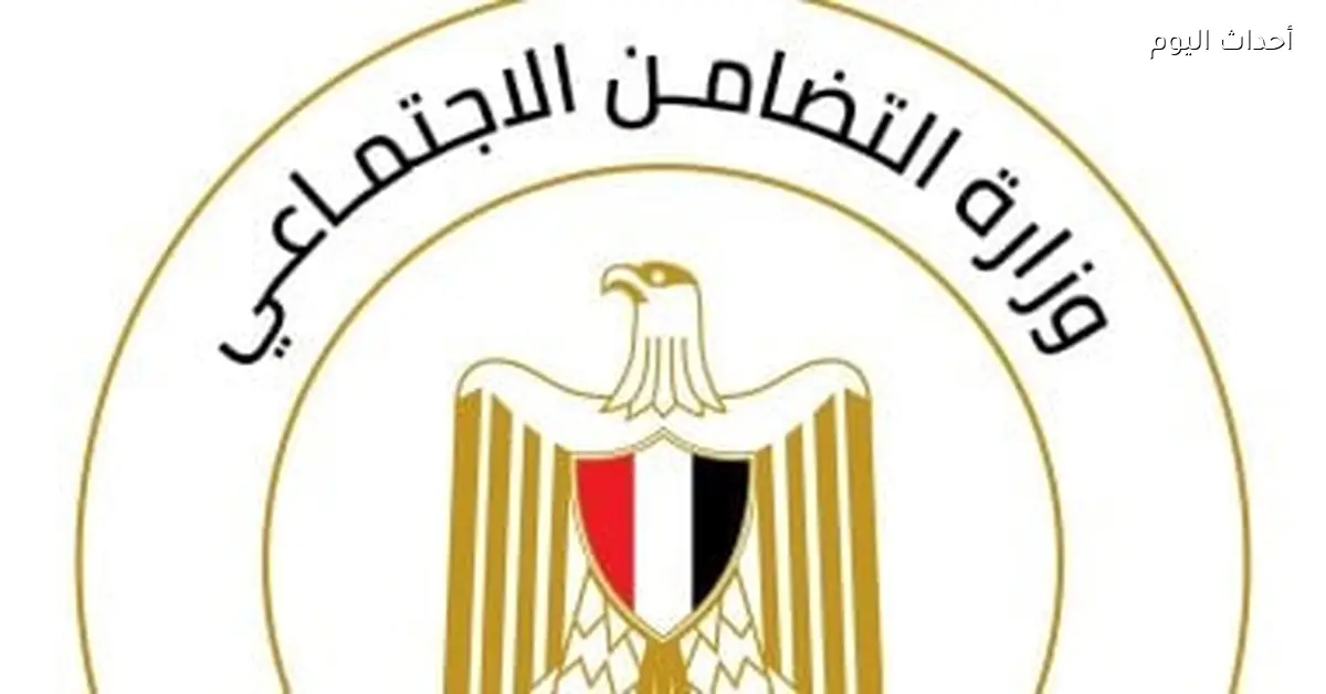 التضامن توضح كيفية الإبلاغ عن دار رعاية مخالفة وتحذر من التبرعات غير المرخصة