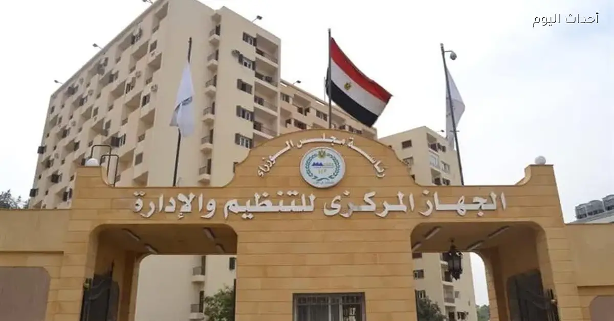 التنظيم والإدارة يعلن عن موعد الامتحان الإلكتروني للمتقدمين لـ 425 وظيفة في وزارة الخارجية