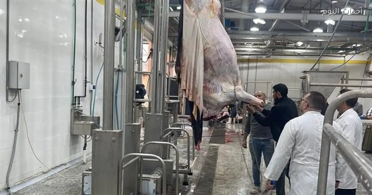 التنمية المحلية تبدأ التشغيل التجريبي لأربعة مجازر في المنوفية والدقهلية وكفر الشيخ