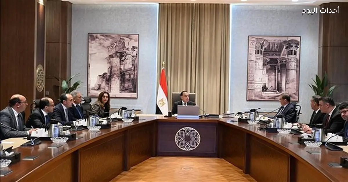 الحكومة تطلق خطة لإيواء وتعقيم الحيوانات الضالة