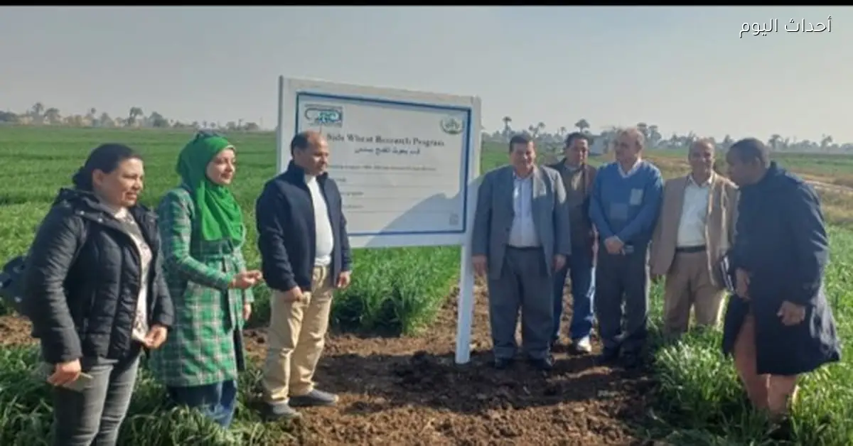 الزراعة تتابع المحاصيل الاستراتيجية في بني سويف