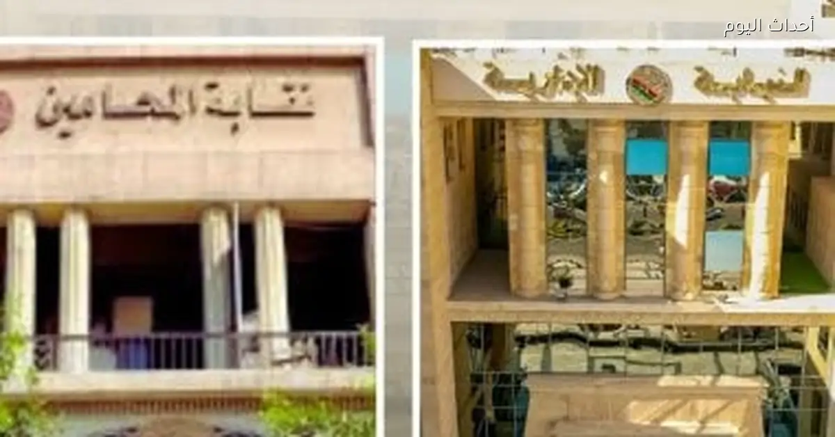 النيابة الإدارية تتابع انتخابات نقابات المحامين الفرعية المرحلة الأولى