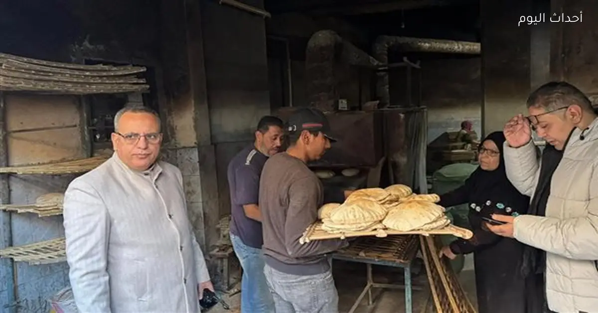 تحرير 103 مخالفات في الدقهلية وضبط كميات من المنتجات