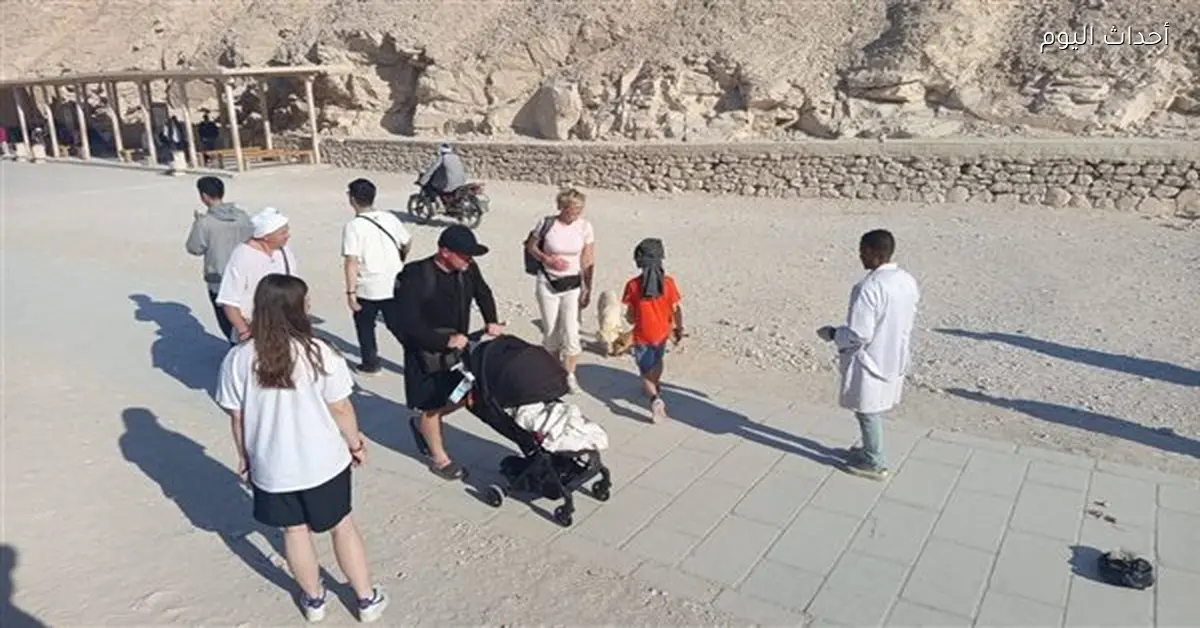 تحصين 29 كلبًا حرًا ضد السعار في الأقصر