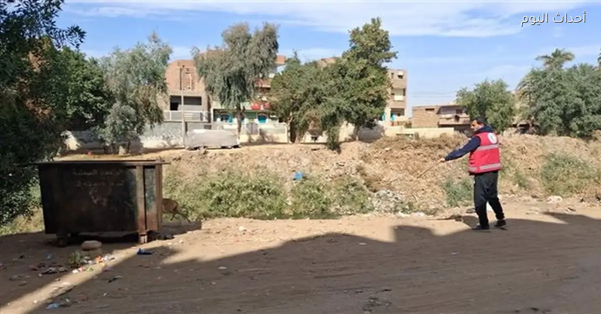 تحصين 33 كلبًا ضالًا في قنا لمواجهة الأمراض المشتركة