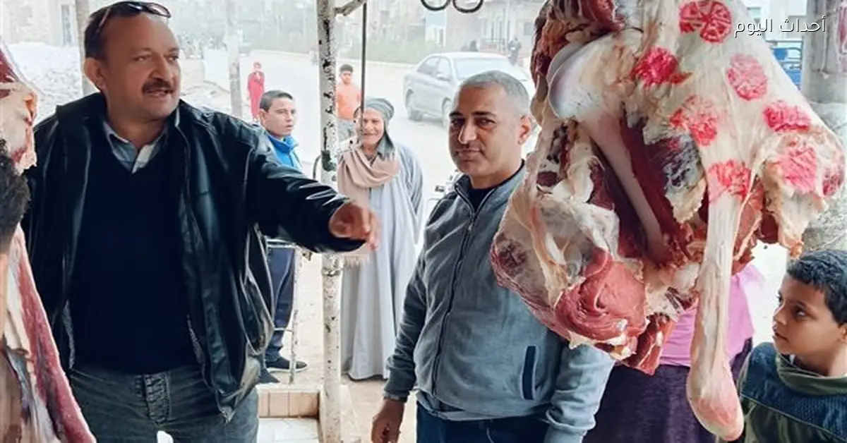 تحصين 41 كلبًا في بني سويف وضبط لحوم مذبوحة في إهناسيا