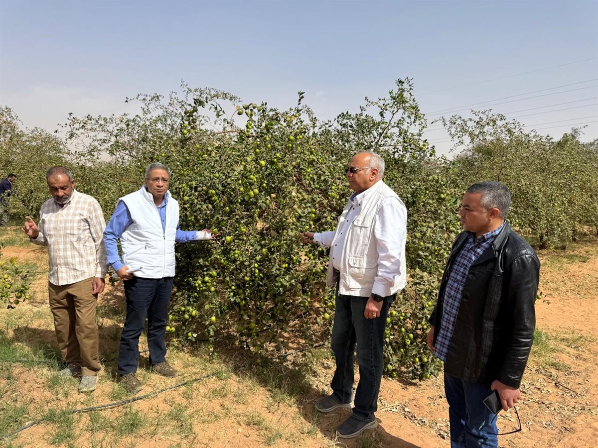 جانب من المتابعة لأعمال المحطات البحثية