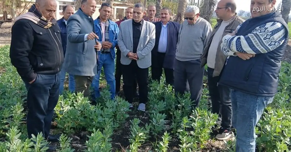 تفقد برامج البحث الزراعي وحقول التقاوي بالبحيرة