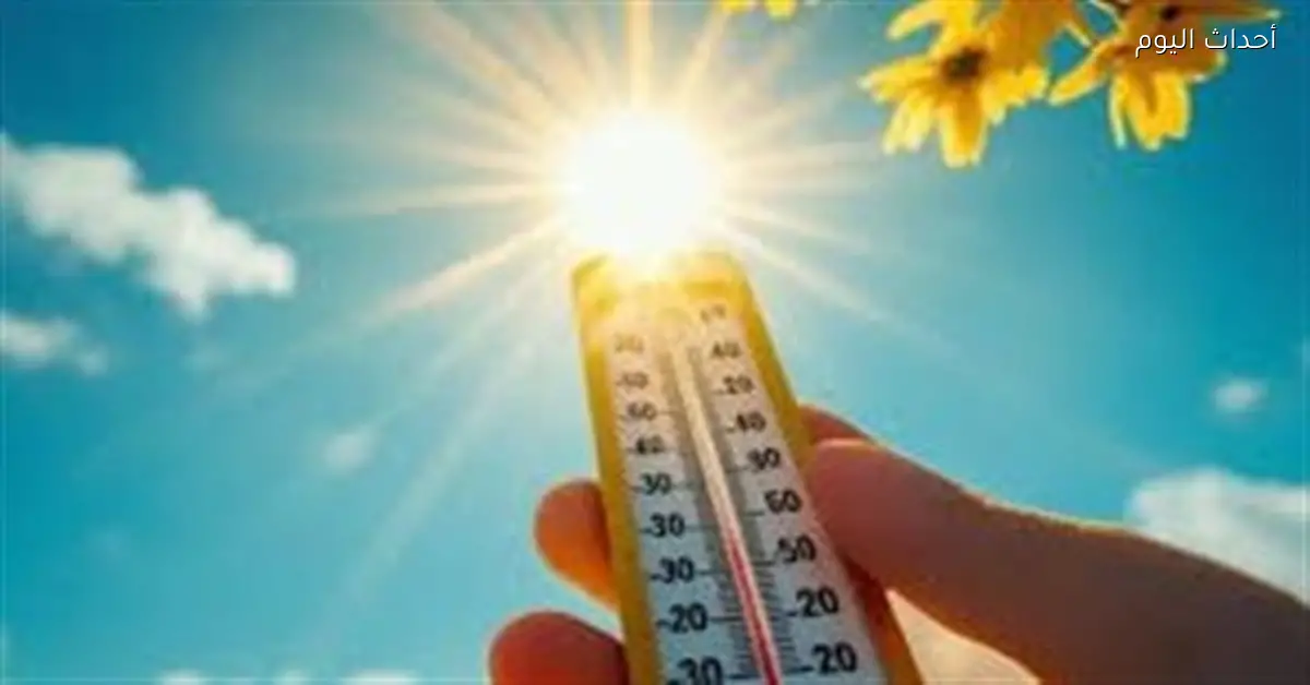 توقعات طقس الإثنين: شبورة صباحية وأمطار خفيفة