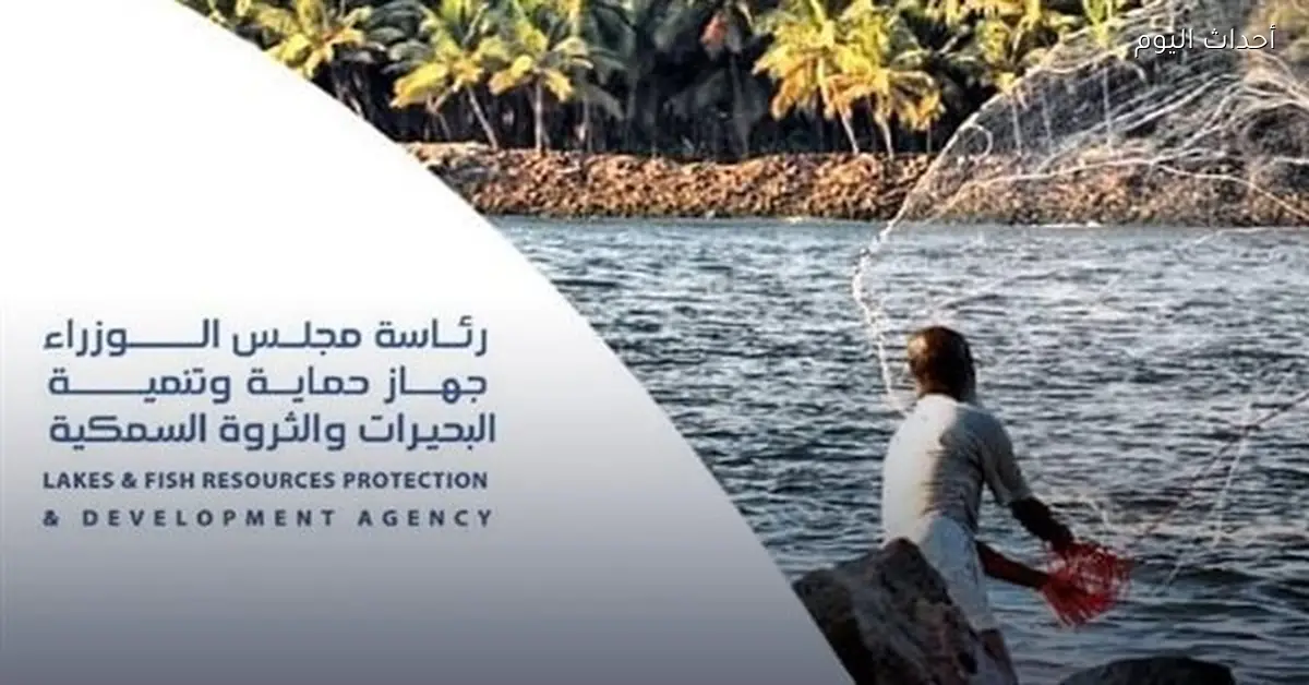 جهاز الثروة السمكية ينفي شائعات حول عقوبات صيد الهواة