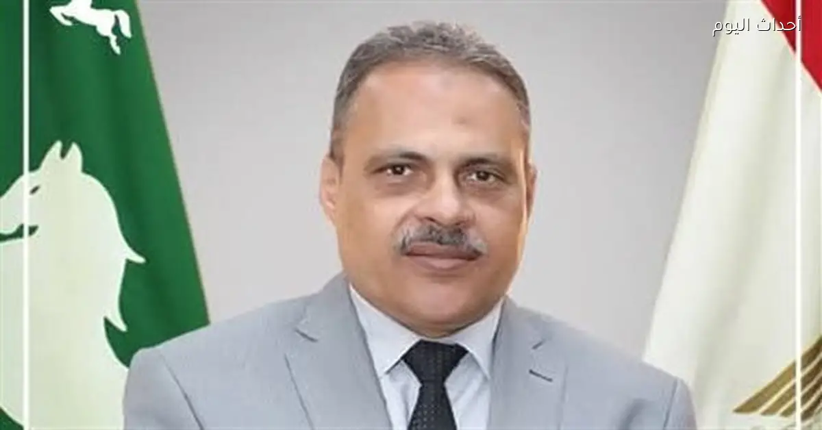 حملات لرفع الإشغالات في شوارع الزقازيق وبلبيس ومنيا القمح