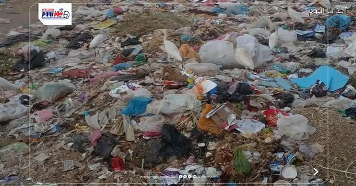 خبير: انتشار القمامة نتيجة غياب إدارة المخلفات