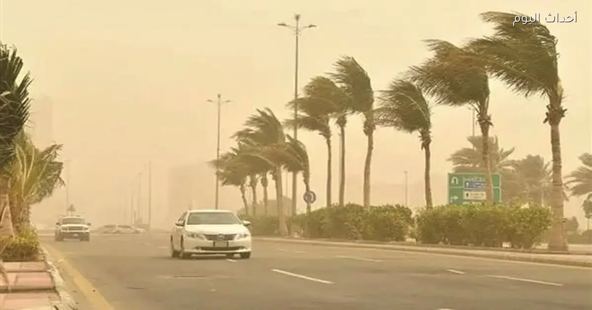 سوء الطقس والرياح يضربان محافظة الشرقية