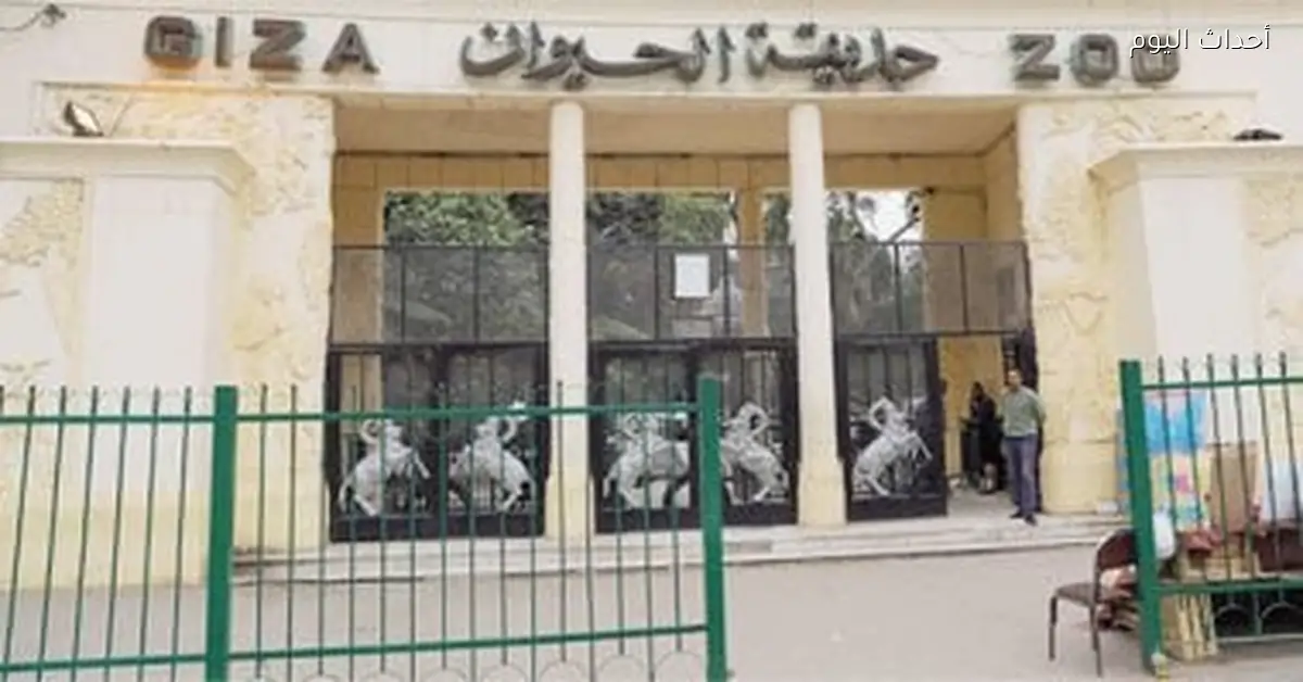 شركة حدائق تنهي ترميم 8 مناطق أثرية بحديقة الحيوان وتبدأ اختبار تشغيلها ليلا