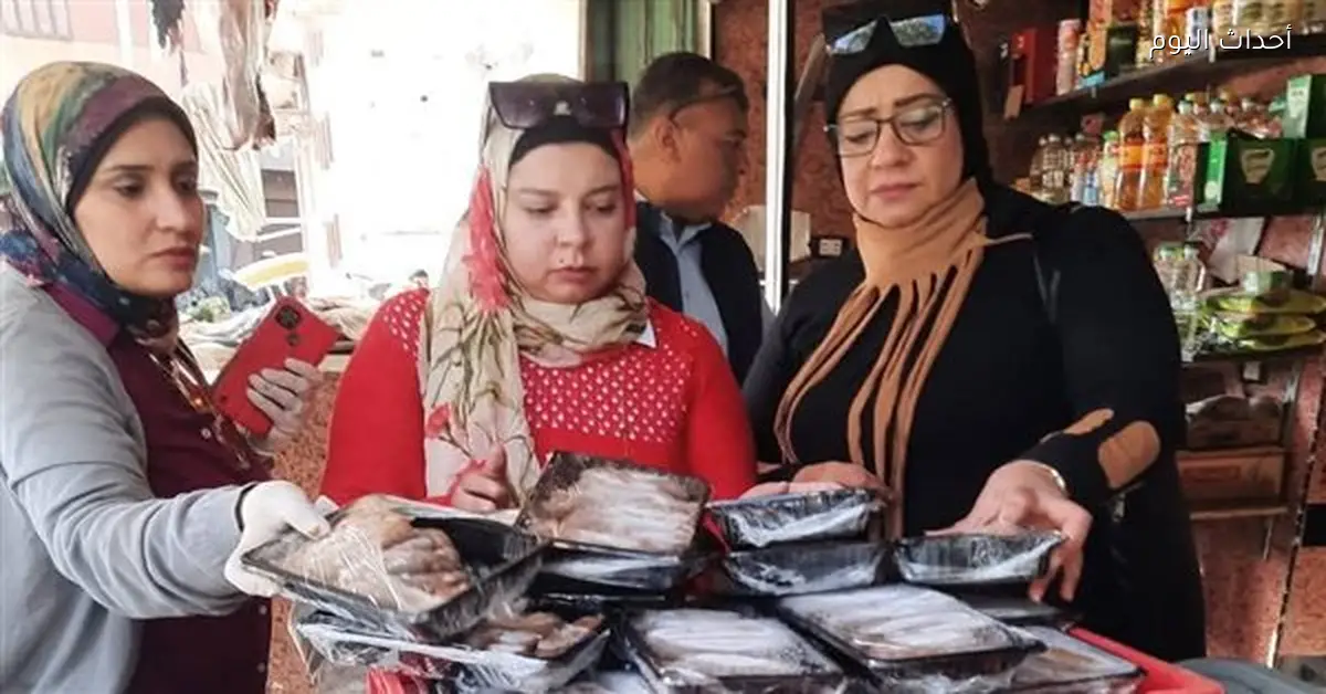 ضبط 154 كجم لحوم فاسدة في السويس