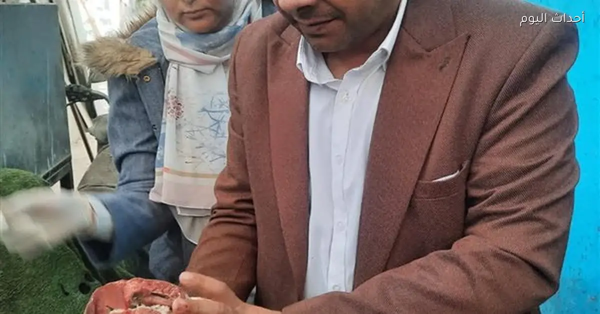 ضبط 87 مخالفة ومواد غذائية فاسدة في السويس