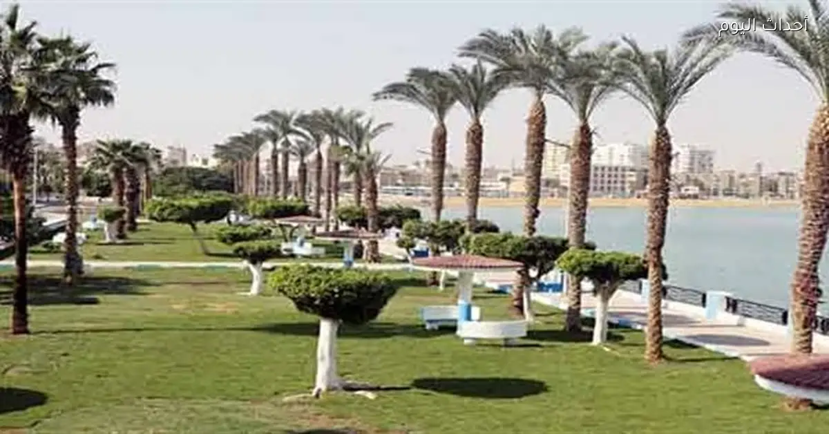 طقس بارد وشبورة كثيفة في السويس اليوم وتحذيرات للسائقين