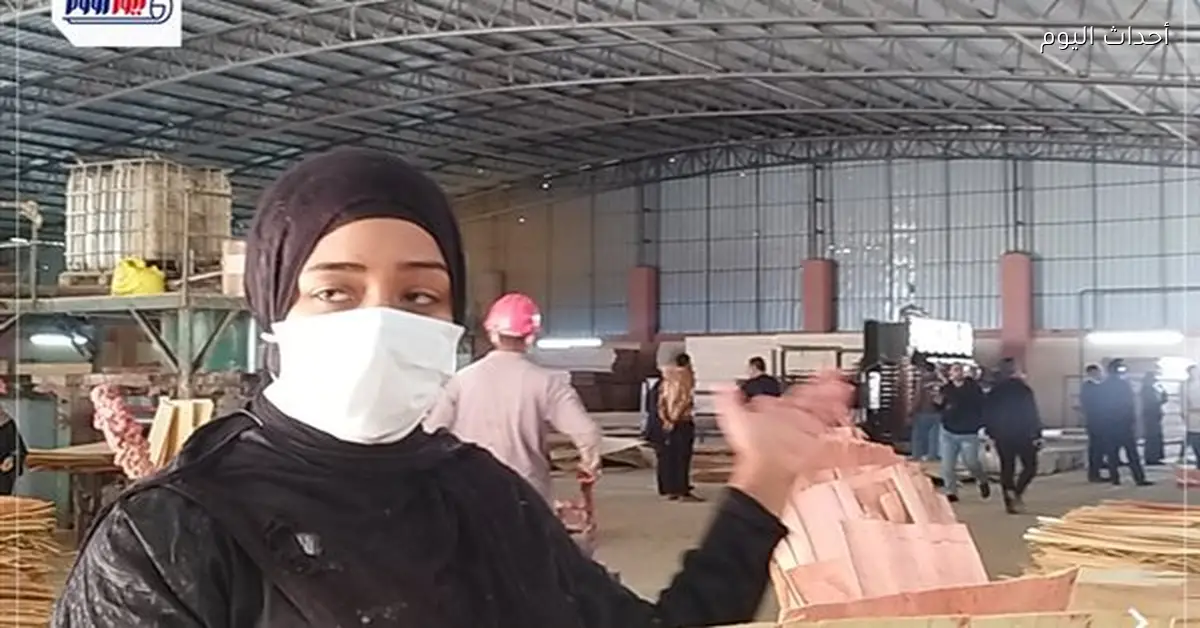 قنائية تترك التعليم للعمل في مصنع للأخشاب