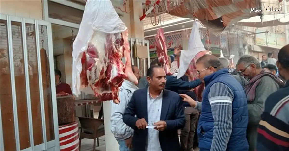 محافظ قنا يعلن ضبط 61 مخالفة في حملات تموينية